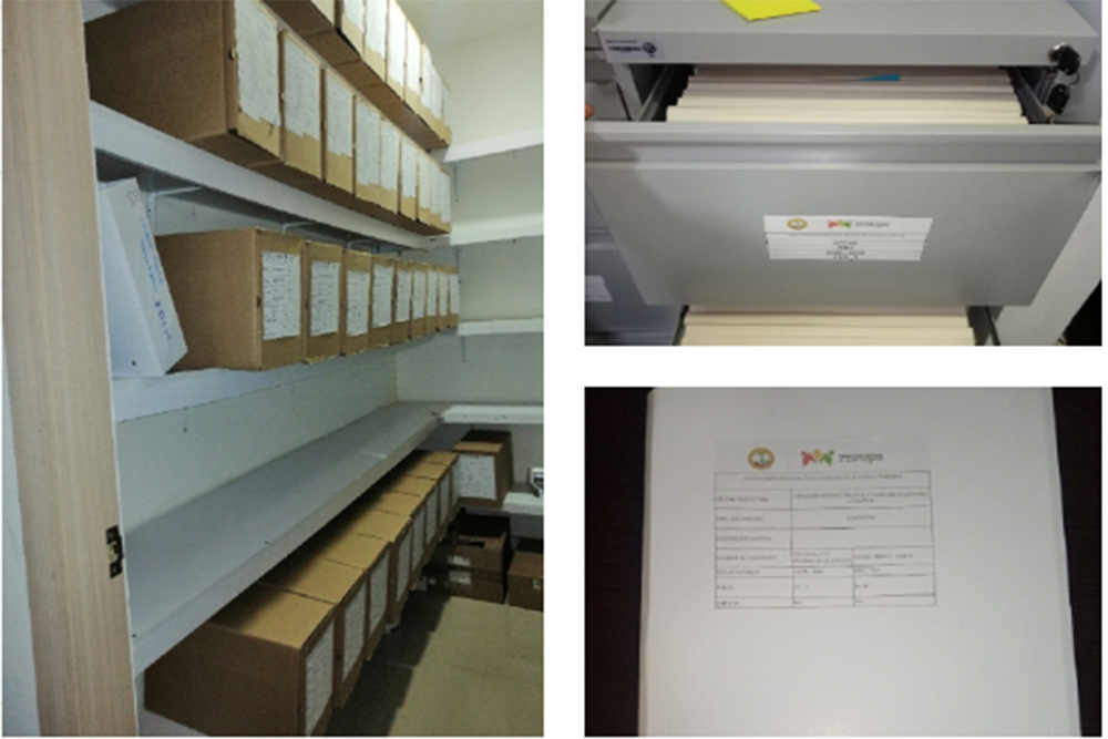 Servicios
